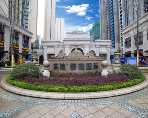 遵義實地薔薇國際